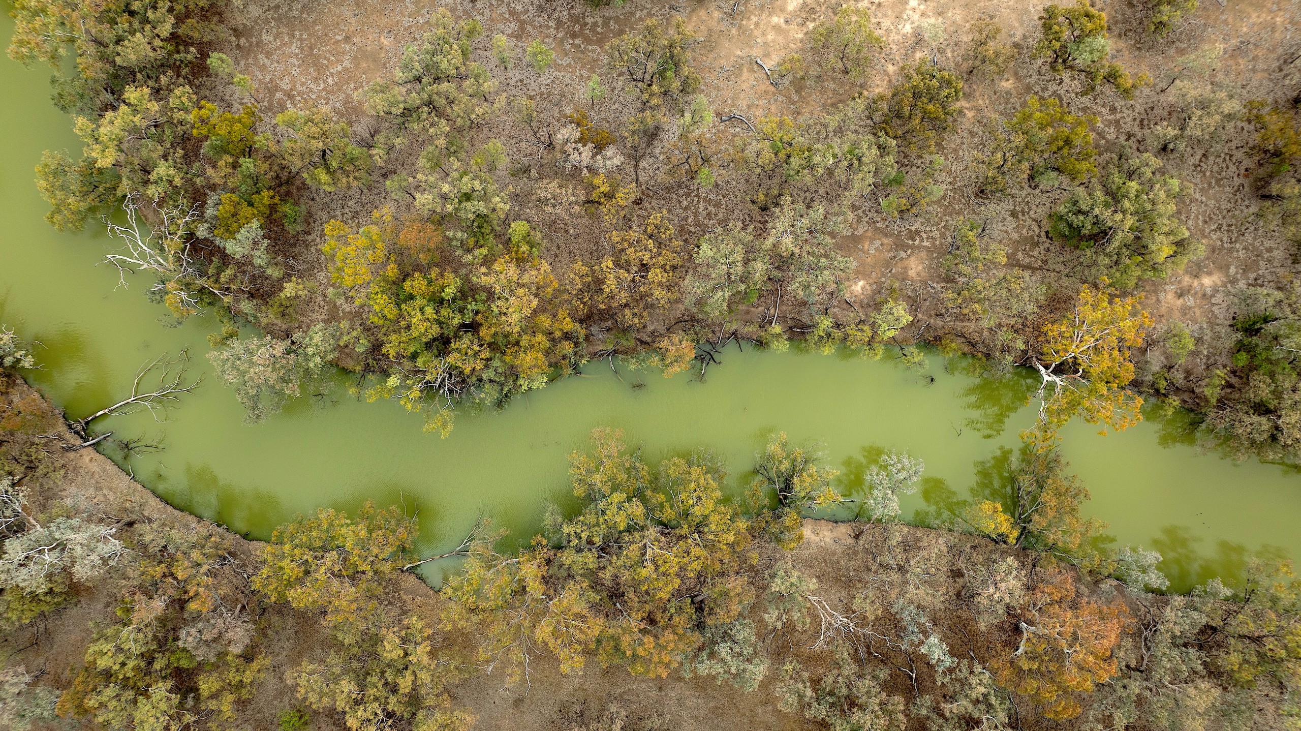 Field trip to Bogan River, Brewarrina, NSW, Australia
