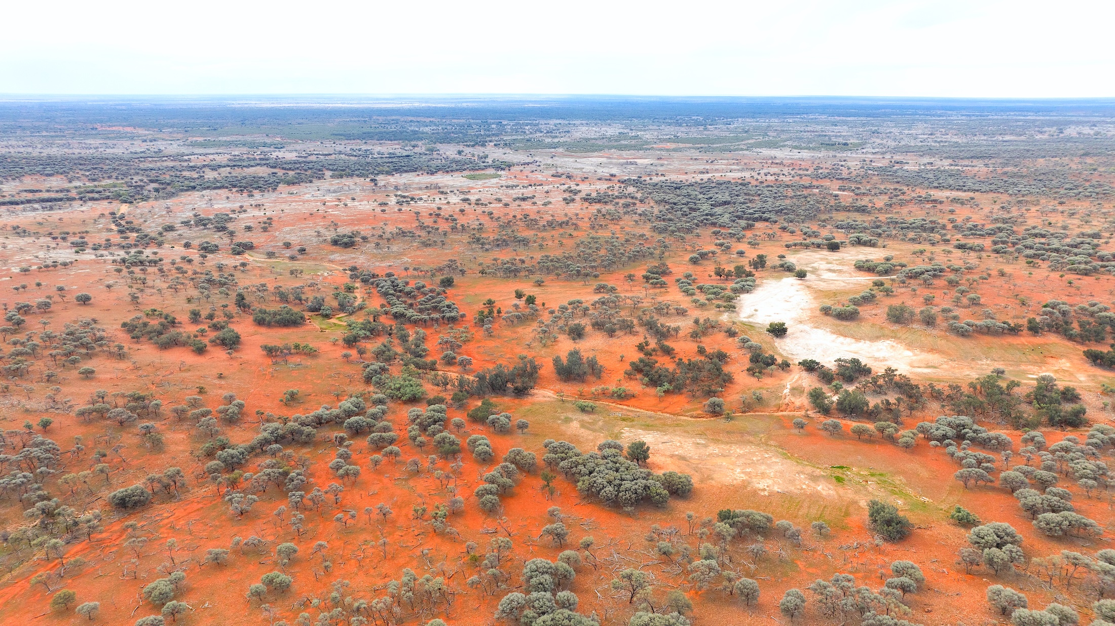 Echoing the outback’s boundless horizons and untamed spirit, the artwork holds a timeless quiet strength