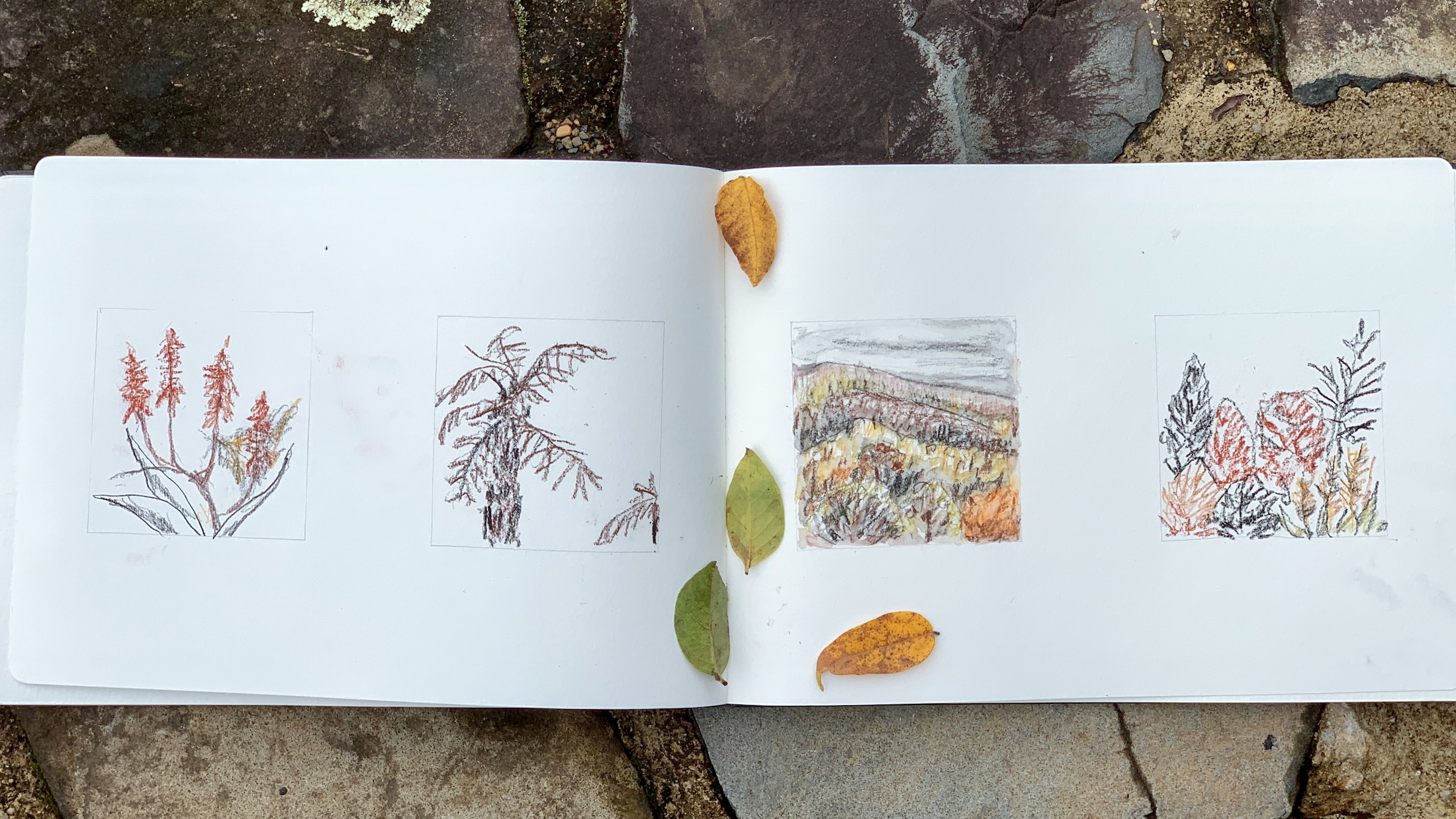 Experimentation and mapping ideas that nurture the creative process and record the observations on Plein-air.