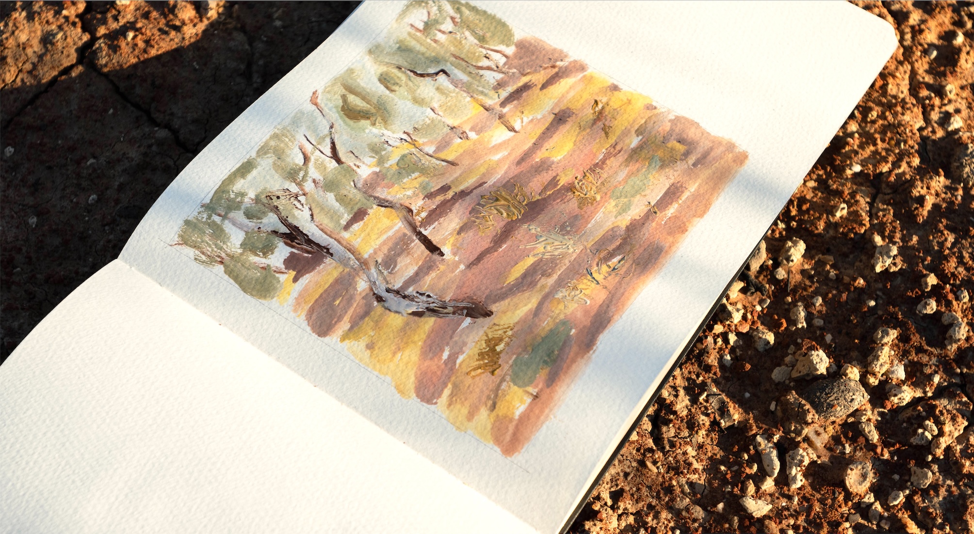 Small swatches and quick marks are gathered in a sketchbook, capturing the shifting hues before they disappear.